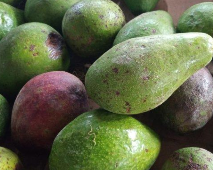 Lahan Pertanian